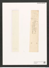 Navicula mesolepta var. thermes (Ehr.) V.H. (de-Toni-Nr.: Genus 1, Species 77) Zeichnungen Sammlung Grunow (NHMW-BOT-W0366436)